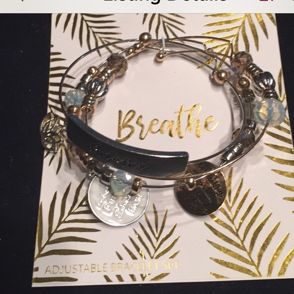 2-piece NWT necklace and charm bracelets - Picture 8 of 8